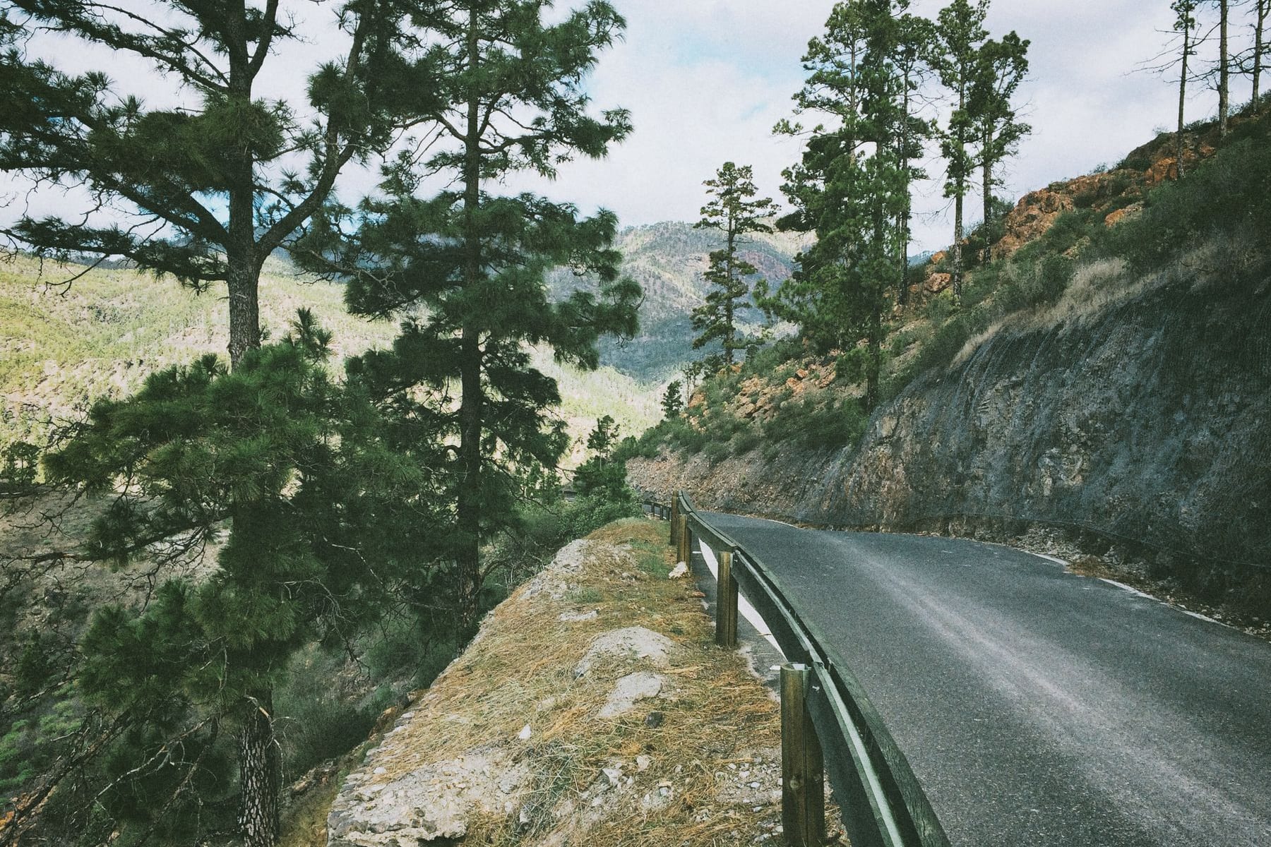 A winding pine-lined mountain road crossing the highlands of La Paz department, Honduras